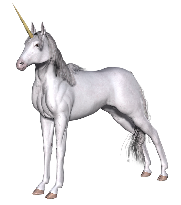 unicorn-2045876 960 720