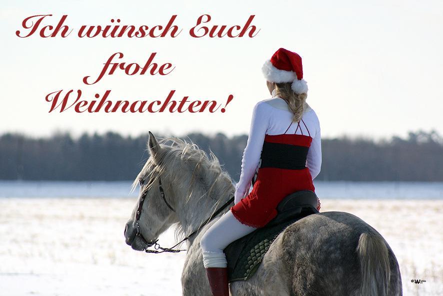 frohe-weihnachten-caa31d9c-33f6-40de-bbc