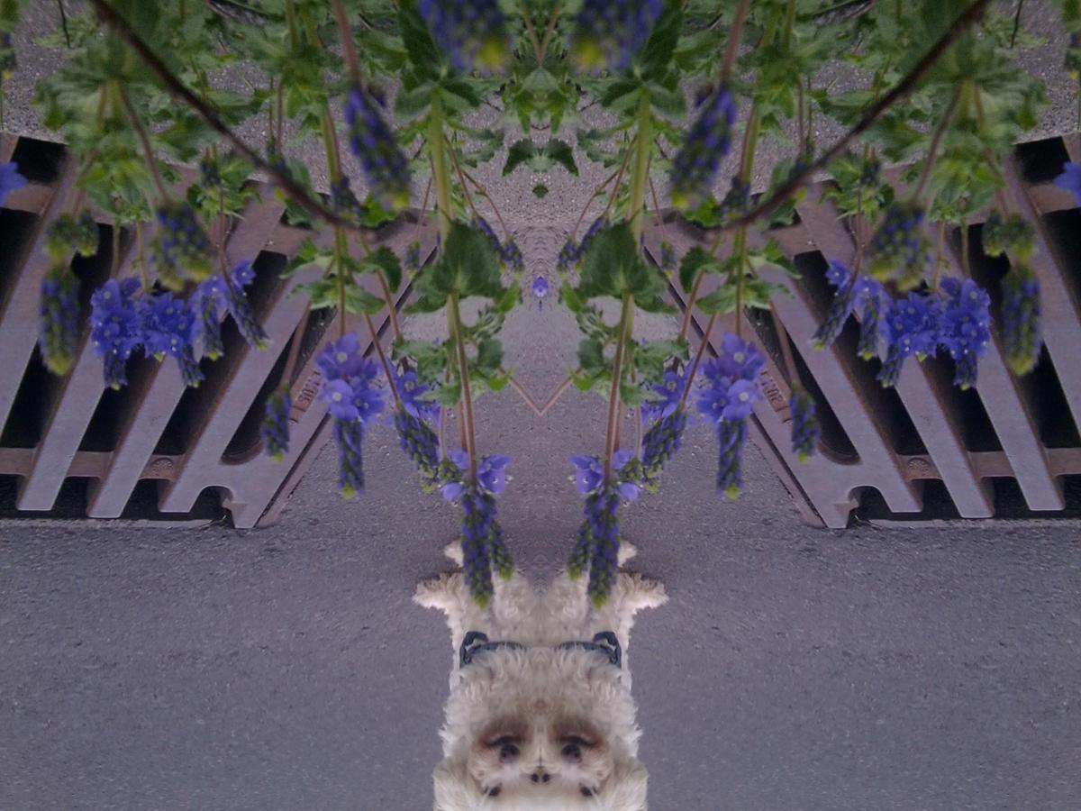 f0369f Foto0294A