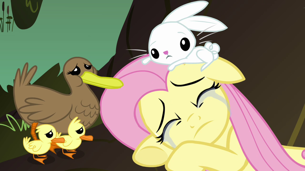 Fluttershy with Angel and ducks S2E22