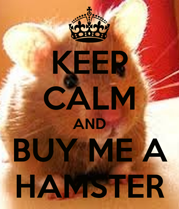 keep-calm-and-buy-me-a-hamster