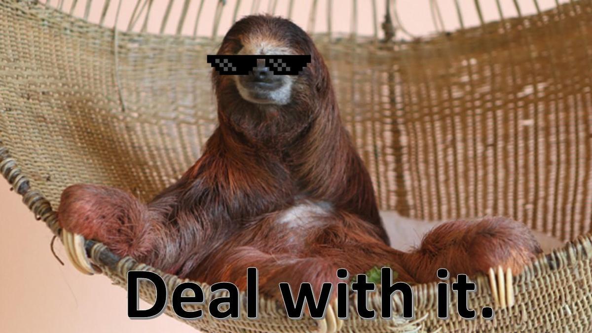 Deal-With-It-Sloth-Meme-05