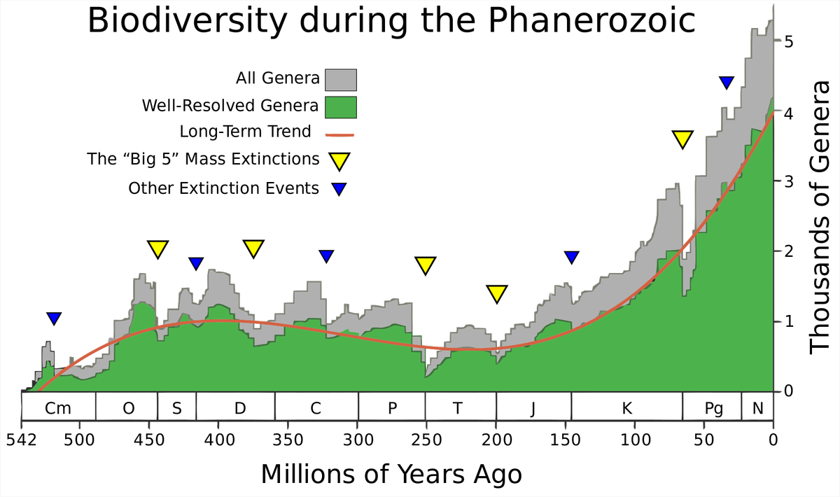 1920px-Phanerozoic Biodiversity.svg