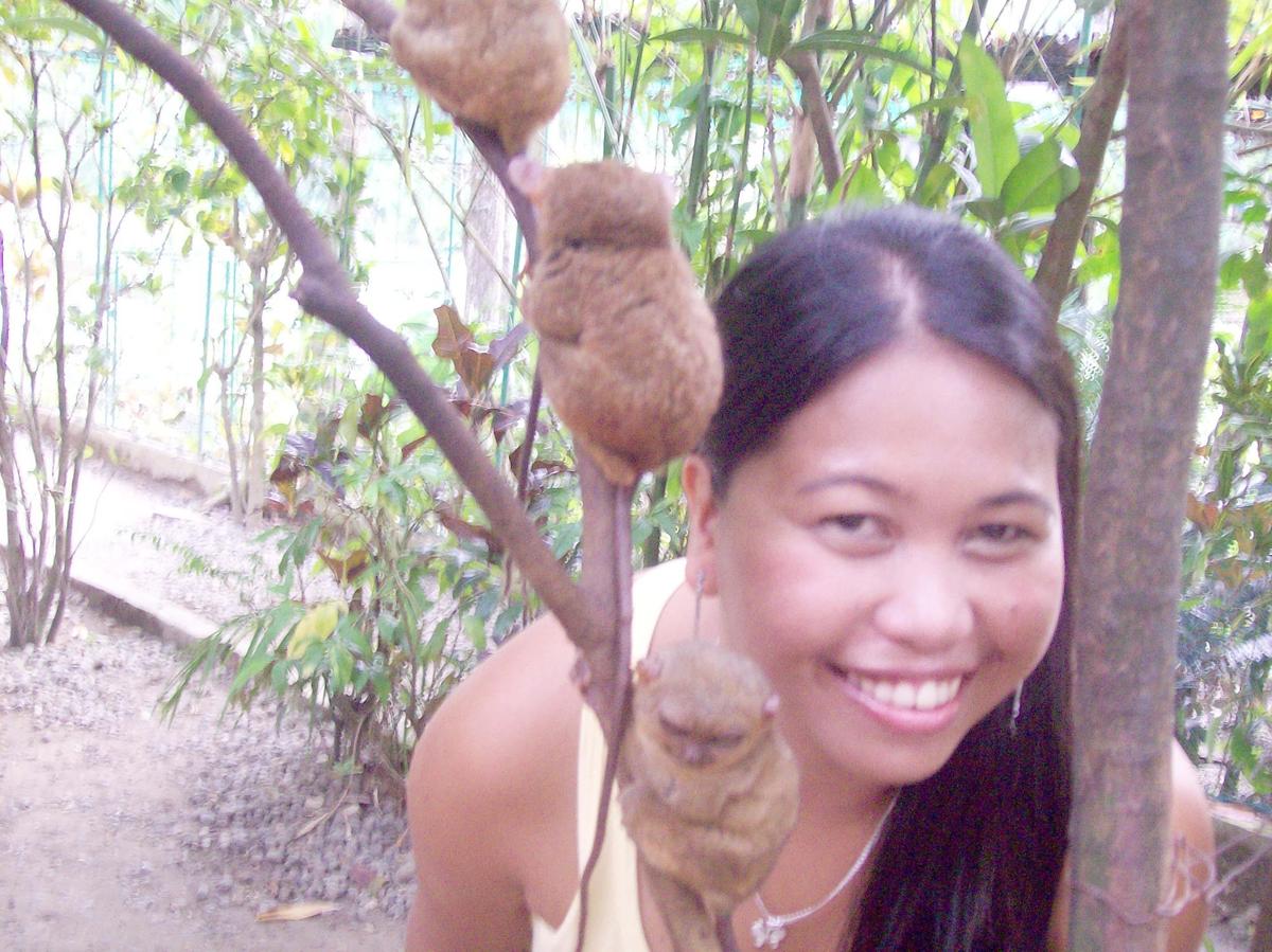 tarsiers