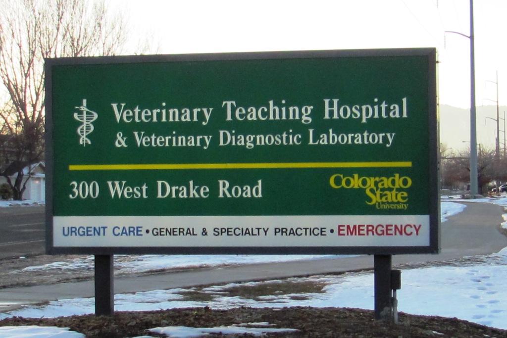 IMG VET sign