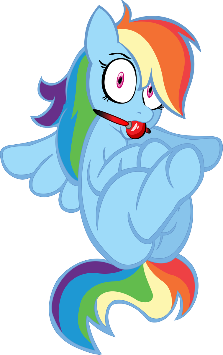 Three curious ponies