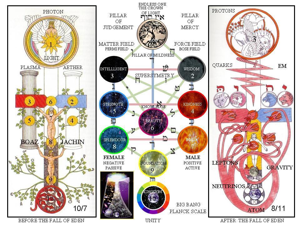 t4fe4e0 treeoflife