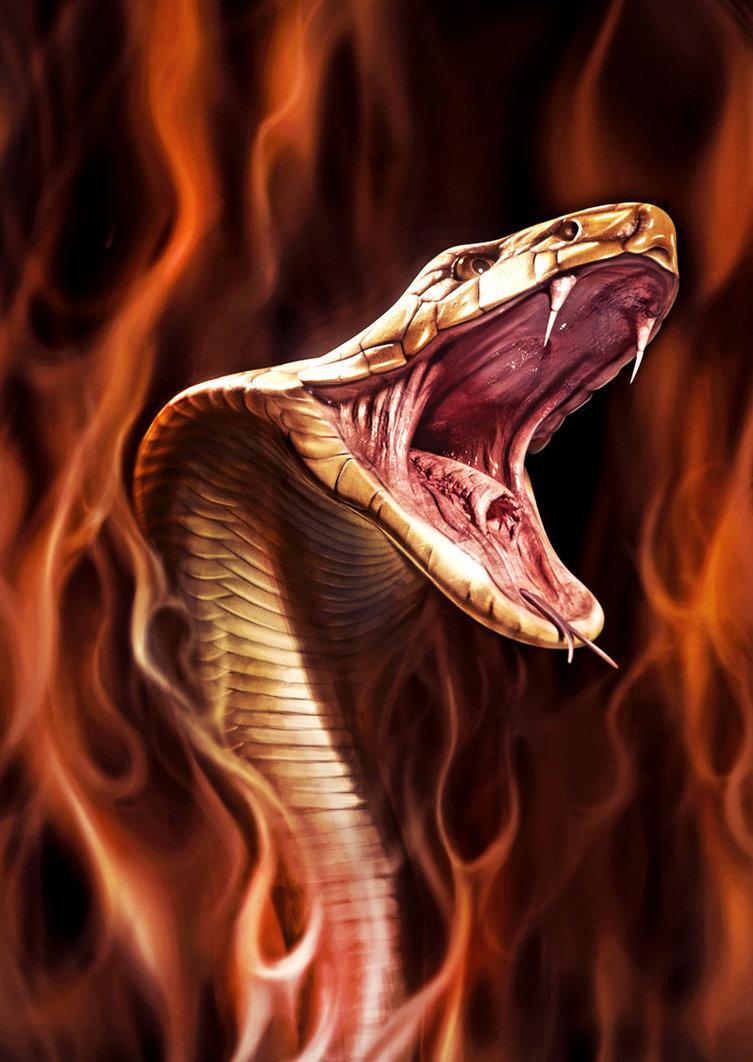 cobra on fire by jafaime-d5pj34w