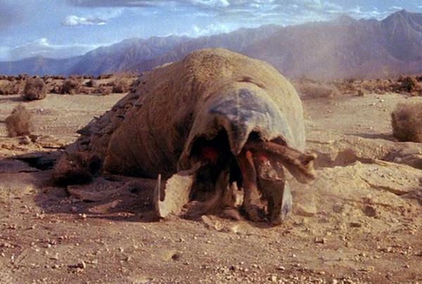 tremors-1990-graboid-2