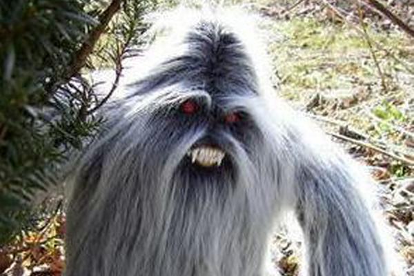 Yeti2