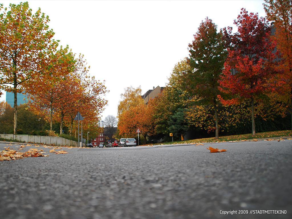 herbst29