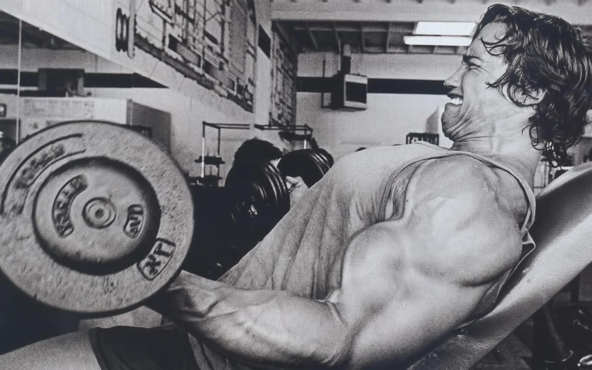 schwarzenegger-training-pain