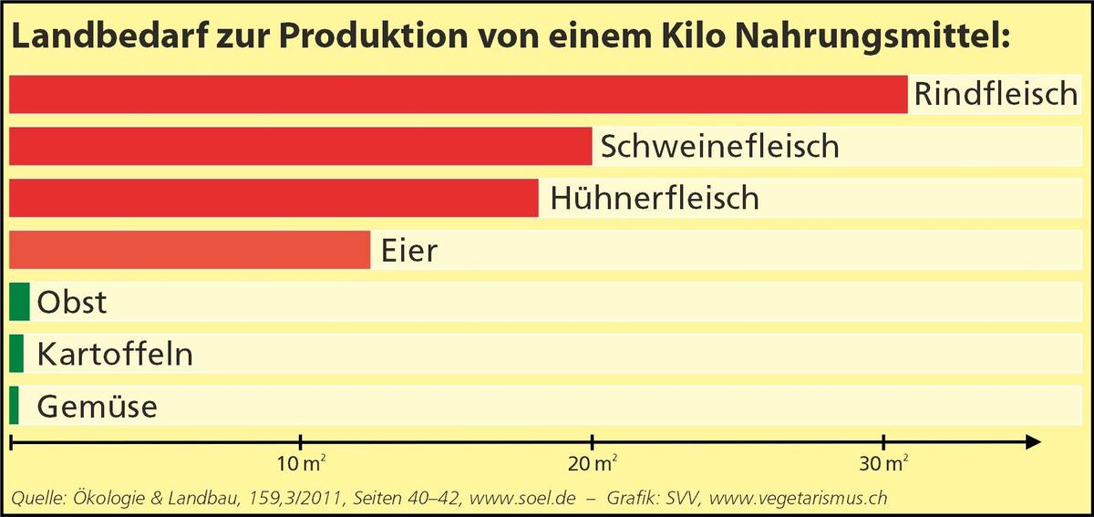 Landverbrauch-Grafik gross