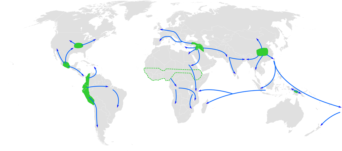 1920px-Centres of origin and spread of a