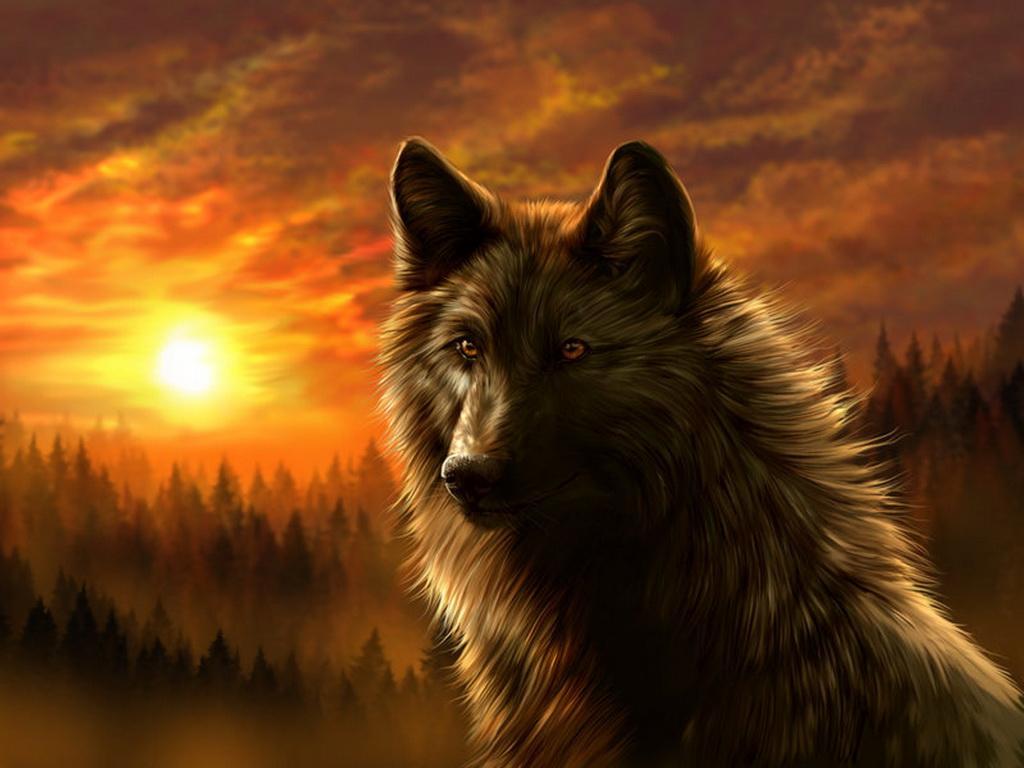 74d653 Dark Wolf Wallpaper