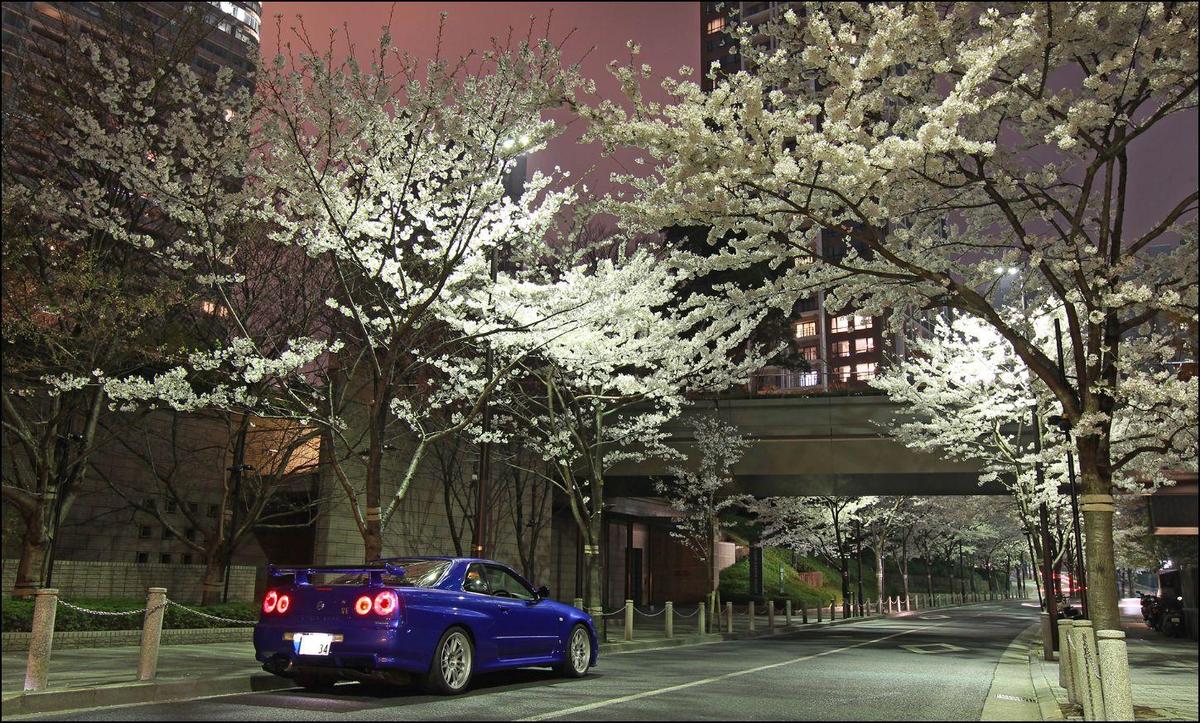 025ee2 r34 at tokio sakura trees