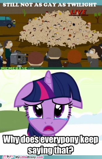 my-little-pony-friendship-is-magic-brony