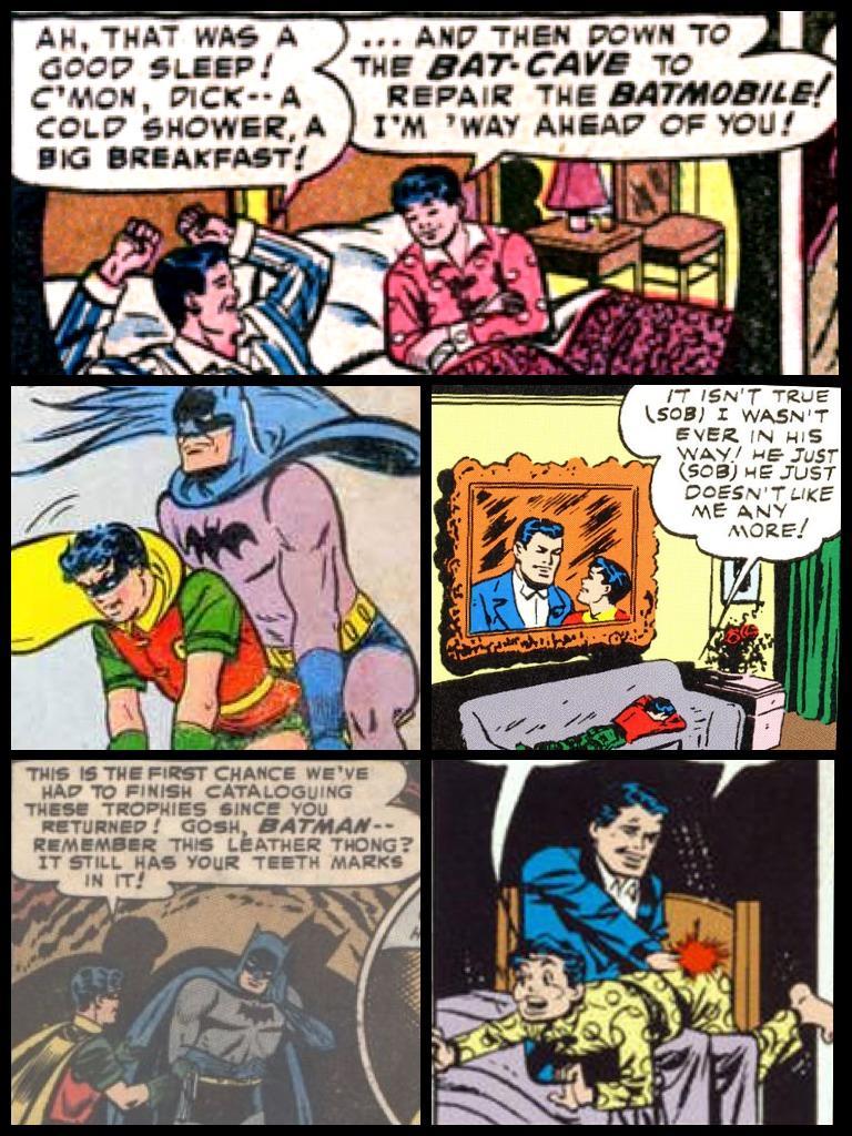 3221254-batman-and-robin-misconstrued