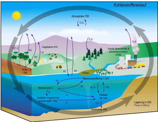 Carbon cycle cute diagram german
