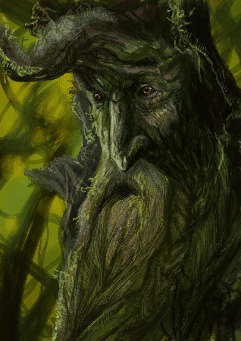 treebeard by mental lighton-d5u56hv