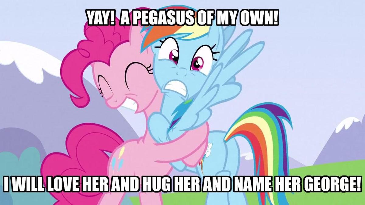 Rainbow-Dash-Meme-rainbow-dash-37372084-