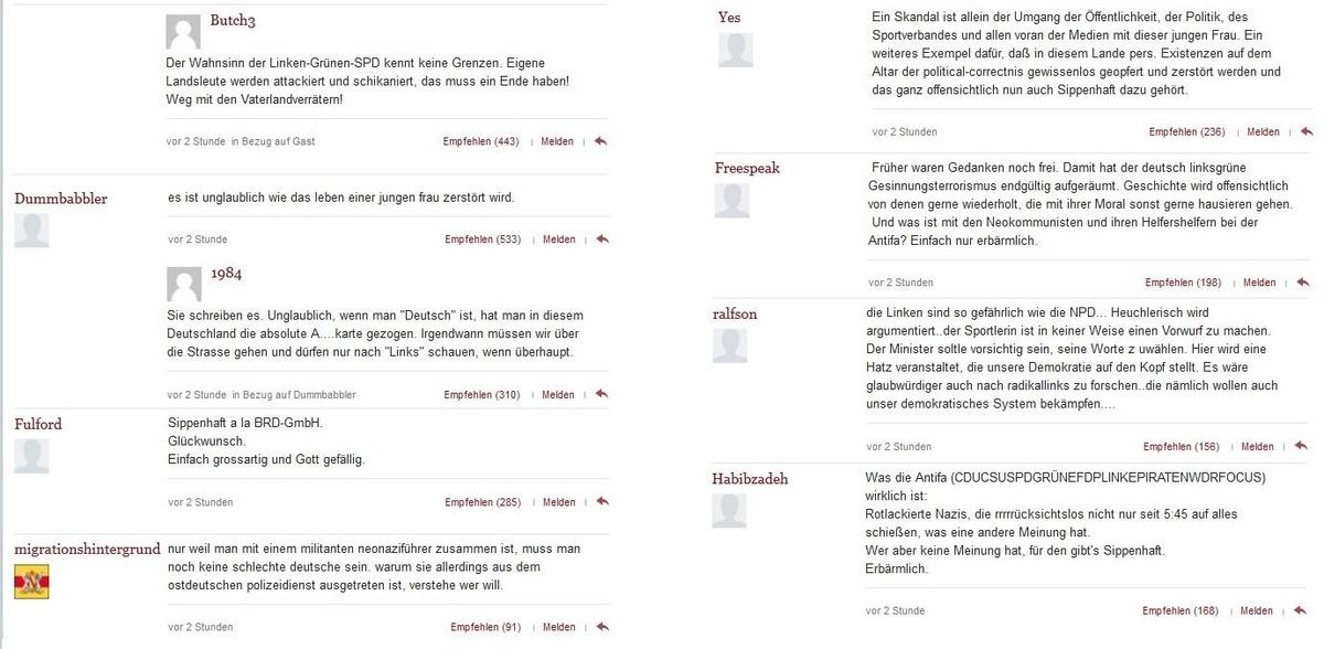 drygalla-welt-online-comments