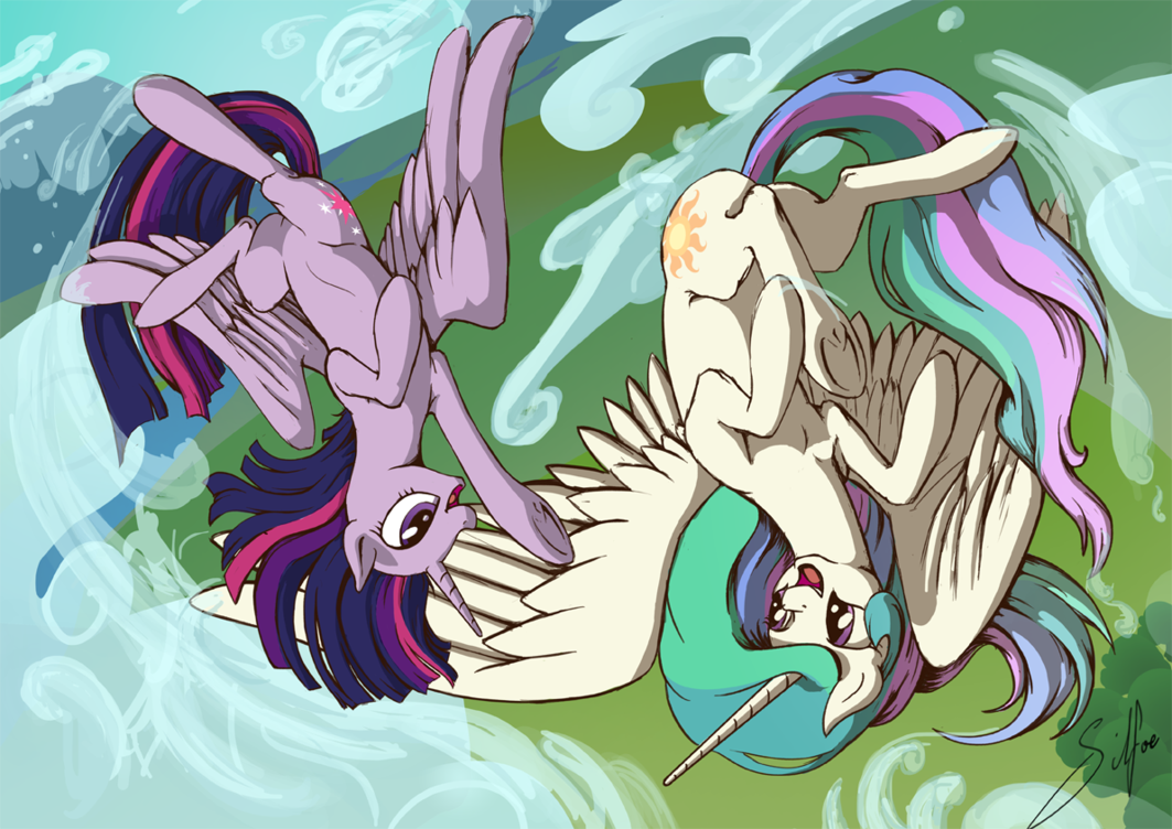 commission  fun flight by silfoe-d6tfe64