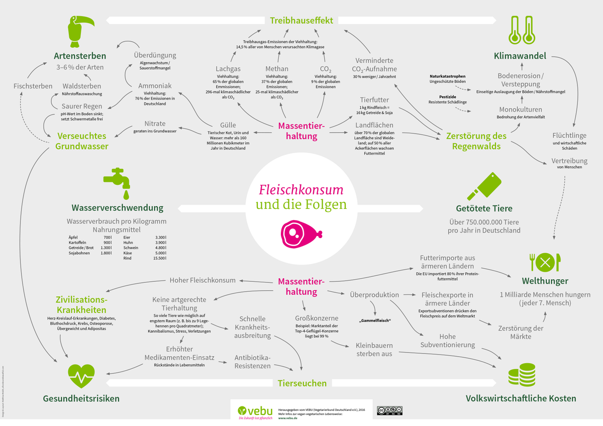 folgen des fleischkonsums
