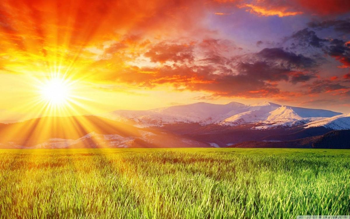 wallpaper-sun-grass-wonderful