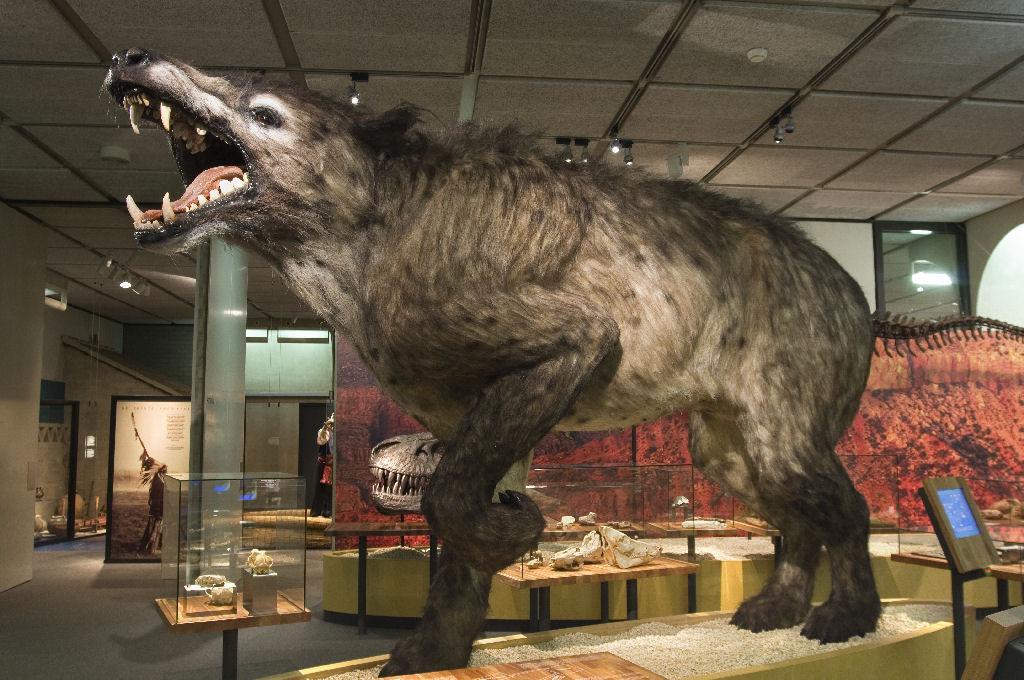 Andrewsarchus2Bdiorama