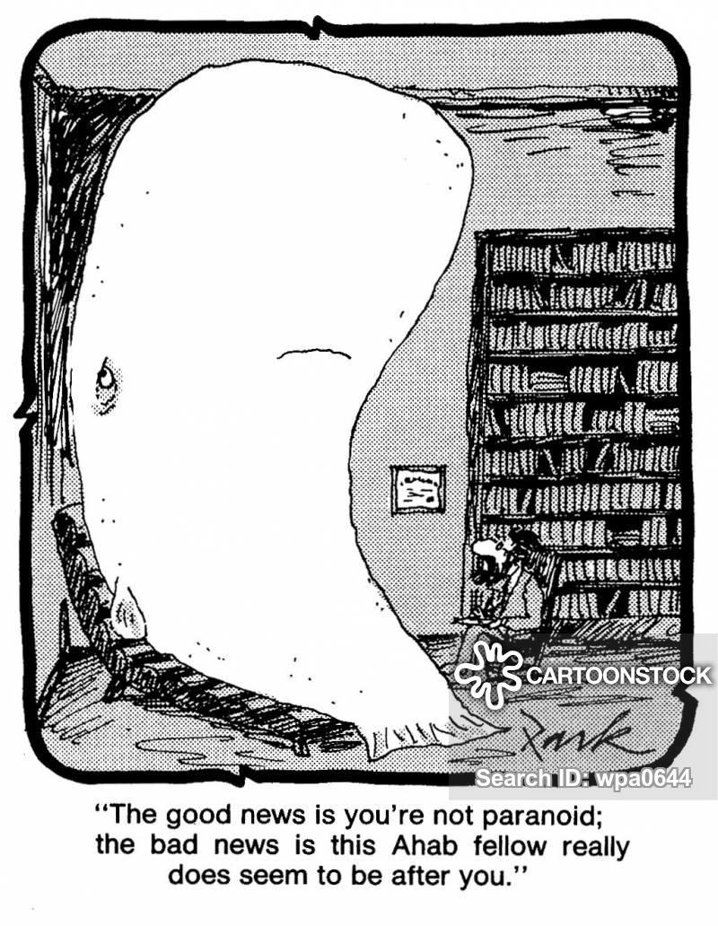 animals-whale-white whale-moby dick-para