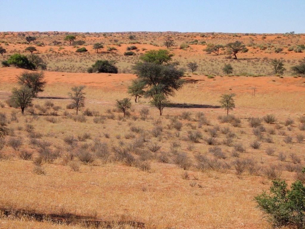 Kalahari-Desert-Facts