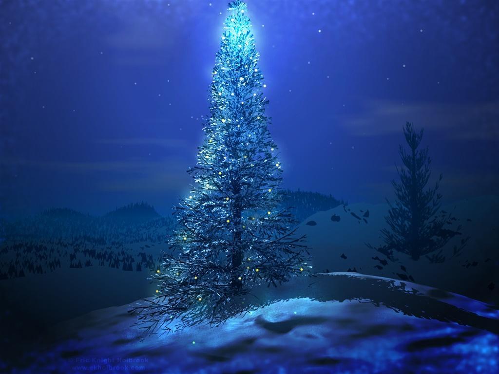 blue-weihnachtsbaum-wallpapers 1526 1024