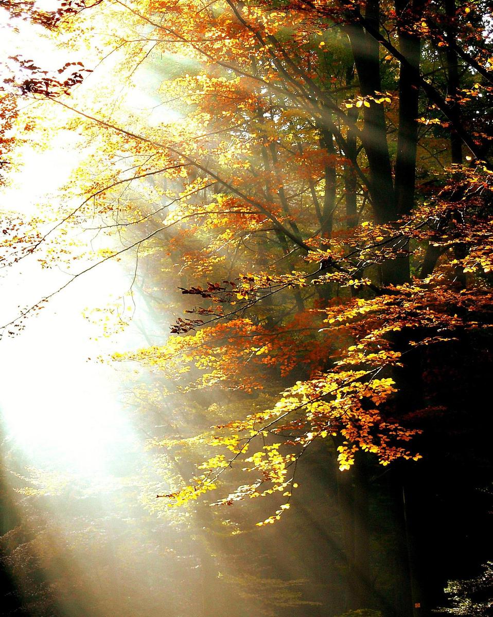 Trauer-Licht-im-Dunkeln mini