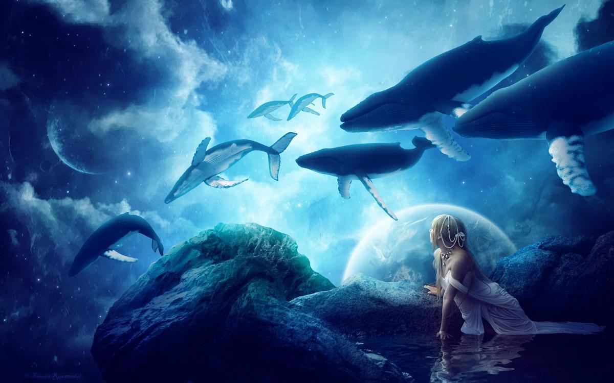 creative-pictures-whales-dream-world-fan