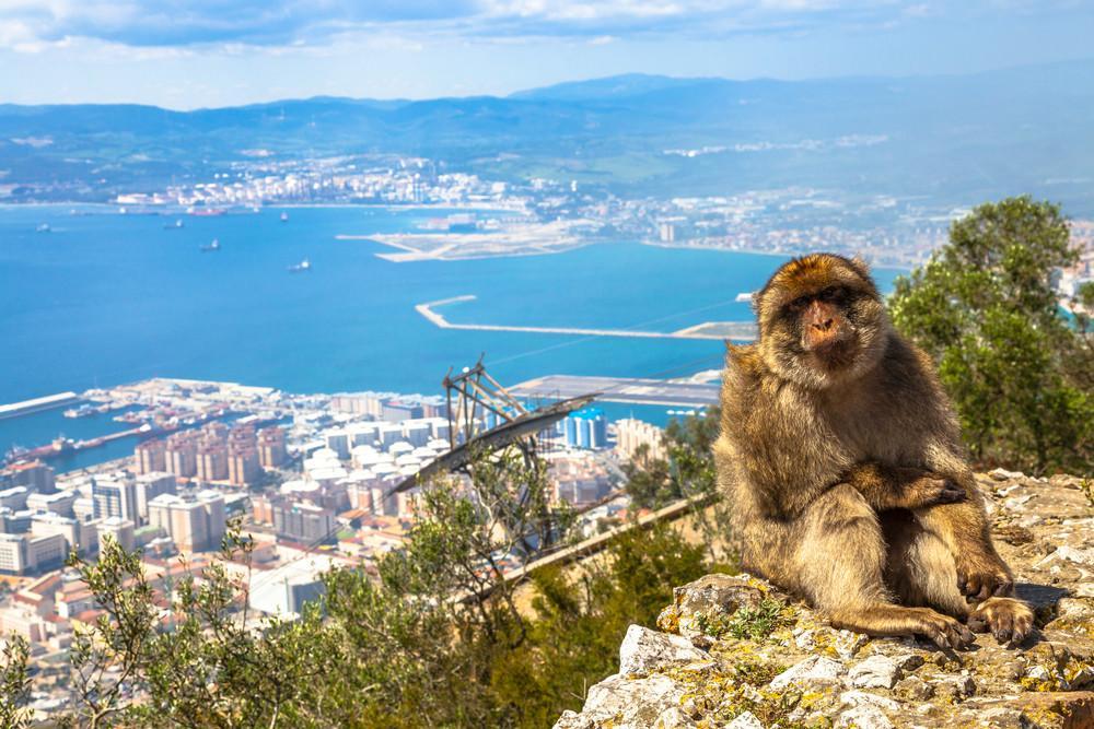 Besuchen-Sie-den-Affenfelsen-in-Gibralta