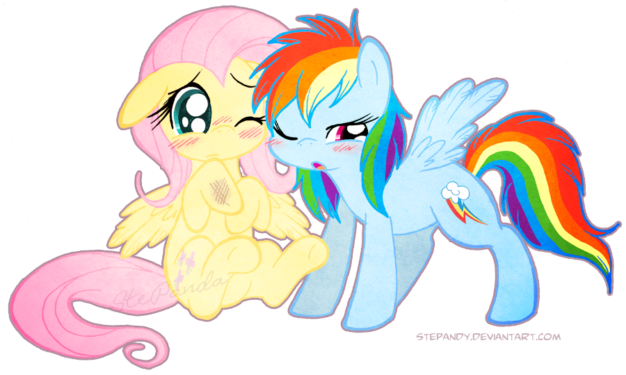 fluttershy and rainbow dash by stepandy 
