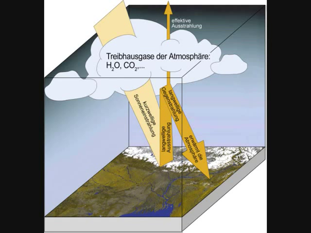 Hf7isF rebbi-co2