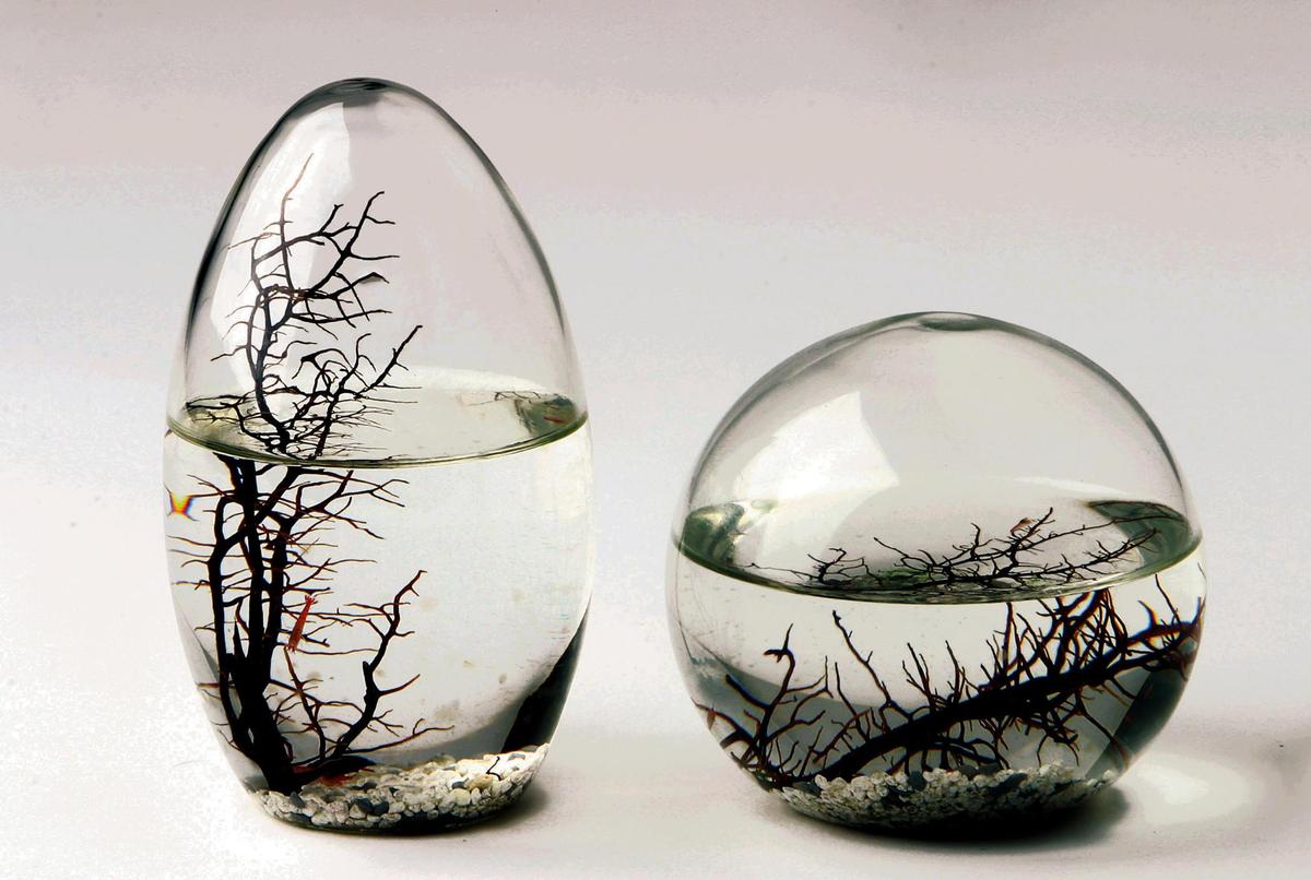 ecosphere1