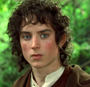 Elijah Wood as Frodo Baggins