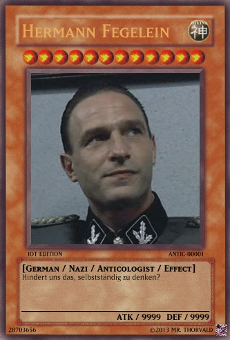 YCM Fegelein