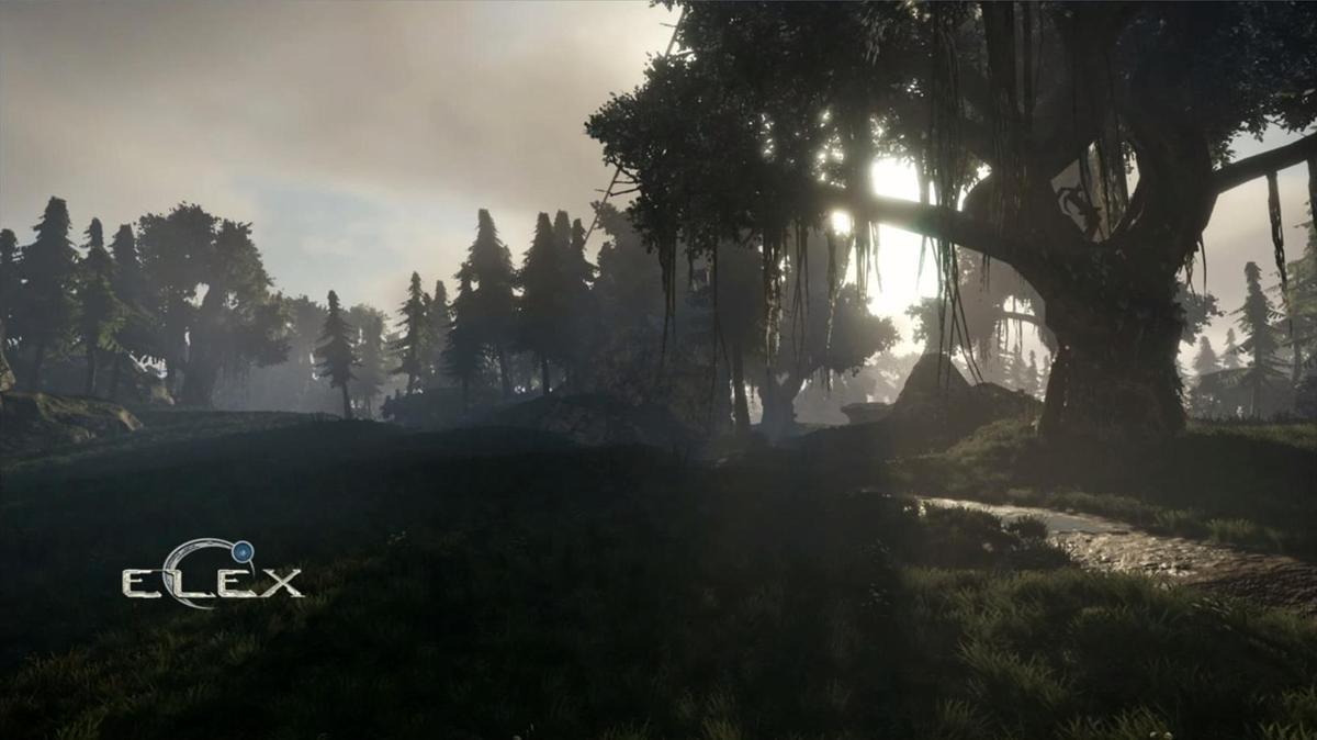 elex forest