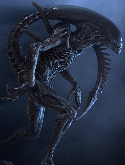 Xenomorph