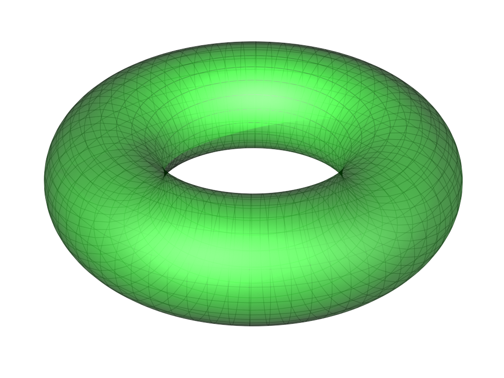 501-Torus full 3d