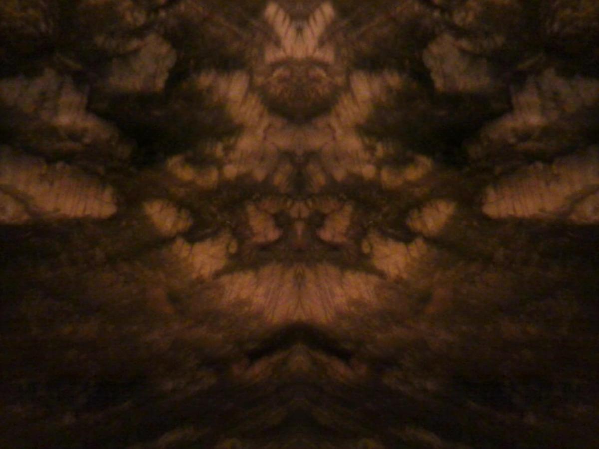 817f43 Foto0834P