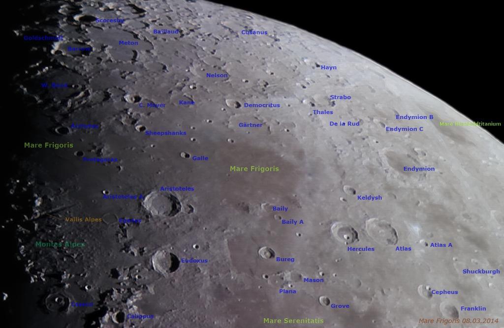 marefrigoris 080320148ucxw