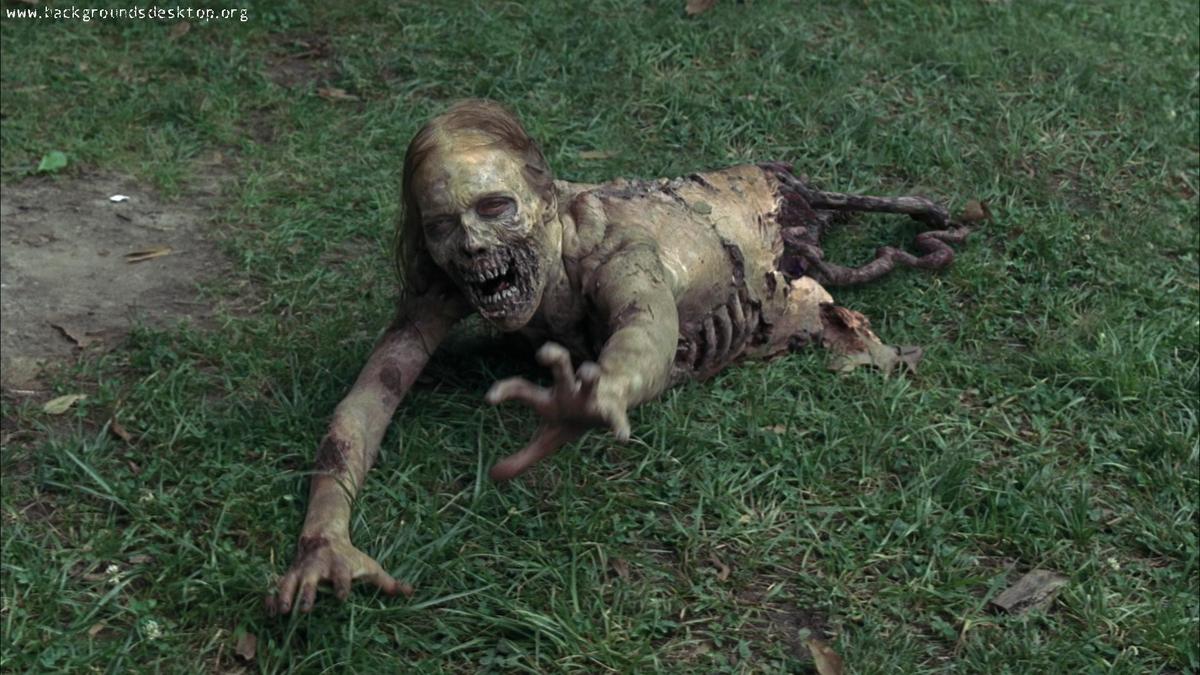 the walking dead   zombie girl backgroun