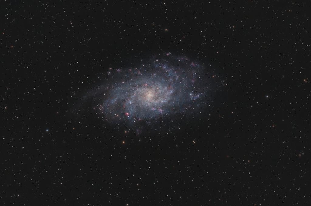 m33 2012-2013bwscuax