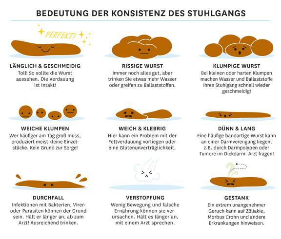 stuhlgang-konsistenz-576x432