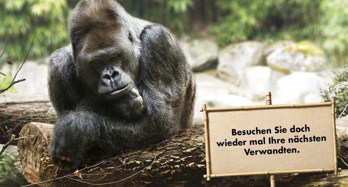 Zoo Kampagne2